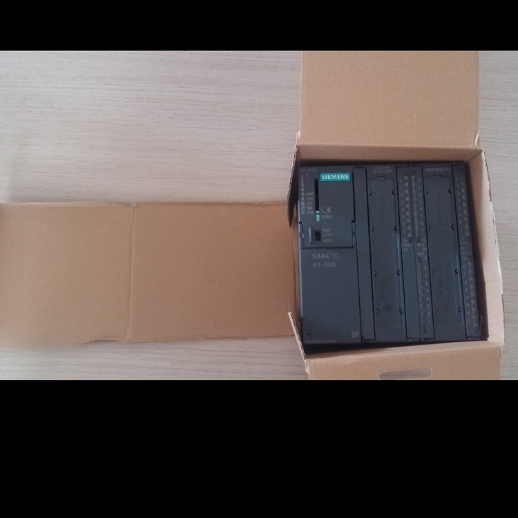 پی ال سی PLC زیمنس SIEMENS مدل 6ES7 313-5BG04-0AB0 - آلمان